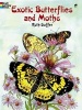 Exotic Butterflies and Moths (Hardcover) - Ruth Soffer Photo