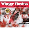 Winter Finches & Friends of North America - A Naturalist's Handbook (Paperback) - Mark Stensaas Photo