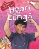 Heart and Lungs (Paperback, Illustrated edition) - Andrew Solway Photo