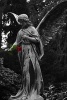 Angel Statue Holding a Single Red Rose Journal - 150 Page Lined Notebook/Diary (Paperback) - Cs Creations Photo