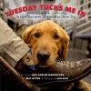 Tuesday Tucks Me in - The Loyal Bond Between a Soldier and His Service Dog (Hardcover) - Luis Carlos Montalvan Photo