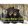 Busy Bear Cubs (Board book) - John Schindel Photo