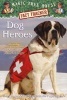 Dog Heroes - a Nonfiction Companion to Magic Tree House #46 : Dogs in the Dead of Night (Paperback) - Mary Pope Osborne Photo