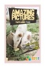 Amazing Pictures and Facts about Pigs - The Most Amazing Fact Book for Kids about Pigs (Paperback) - Mina Kelly Photo