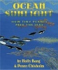 Ocean Sunlight: How Tiny Plants Feed the Seas (Hardcover) - Molly Bang Photo