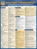 Anatomy Terminology (Poster) - BarCharts Inc Photo