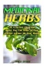 Medicinal Herbs - 20 Effective Medicinal Herbs You Can Grow in Your Kitchen Garden All Year Round!: (Medicinal Herb Garden, Books on Natural Healing) (Paperback) - Erica Green Photo