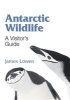 Antarctic Wildlife - A Visitor's Guide (Paperback) - James L Owen Photo