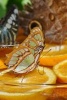 Butterflies Feeding on Oranges - Blank 150 Page Lined Journal for Your Thoughts, Ideas, and Inspiration (Paperback) - Unique Journal Photo