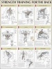 Back Poster (Strength Training Anatomy) (Poster) - Frederic Delavier Photo