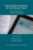 Small Claims Procedure in the County Court - A Practical Guide to Mediation and Litigation (Paperback, 6th Revised edition) - Patricia Pearl Photo