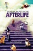 Signs from Pets in the Afterlife - Identifying Messages from Pets in Heaven (Paperback) - Lyn Ragan Photo