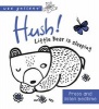 Hush! Little Bear is Sleeping - A Press & Listen Board Book (Board book) - Surya Sajnani Photo