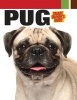 Pug (Hardcover) - Dog Fancy Magazine Photo