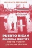 Puerto Rican Cultural Identity and the Work of Luis Rafael Sanchez (Paperback, 1st New edition) - John Dimitri Perivolaris Photo