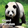 Giant Pandas (Hardcover) - Mari Schuh Photo