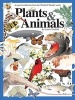 Plants and Animals (Hardcover) - Laurie Triefeldt Photo