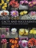 Cacti and Succulents - An Illustrated Guide to the Plants and Their Cultivation (Paperback) - Graham Charles Photo