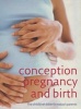 Conception, Pregnancy and Birth - The Childbirth Bible for Today's Parents (Hardcover) - Miriam Stoppard Photo