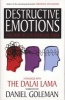 Destructive Emotions (Paperback, New edition) - Daniel Goleman Photo