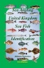 Sea Angling Fish Identification United Kingdom (Paperback) - MR David a Weaver Photo