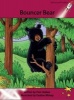 Bouncer Bear (Paperback) - Pam Holden Photo