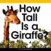 How Tall Is a Giraffe? (Hardcover) - Kurt Waldendorf Photo