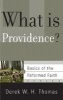 What Is Providence? (Paperback) - Derek W H Thomas Photo