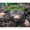 Collins Big Cat - What's Underground: Band 04/Blue (Paperback, American English ed) - Gill Munton Photo