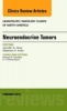 Neuroendocrine Tumors, an Issue of Hematology/Oncology Clinics of North America (Hardcover) - Jennifer A Chan Photo