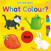 What Colour? (Board book) - Nat Lambert Photo