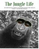 The Jungle Life - 30 Grayscale Photo Coloring Book for Adults (Adult Coloring Books) (Paperback) - Thaphada Coloring Book Photo