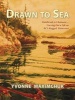 Drawn to Sea - Paintbrush to Chainsaw - Carving Out a Life on BC's Rugged Raincoast (Paperback) - Yvonne Maximchuk Photo