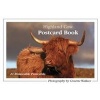 Highland Cow Postcard Book (Postcard book or pack) - Graeme Wallace Photo