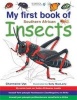 My First Book Of Southern African Insects (English & Foreign language, Paperback) - Charmaine Uys Photo