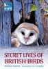 Secret Lives of British Birds (Paperback) - Dominic Couzens Photo