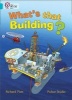 What's That Building? - Band 07/Turquoise (Paperback) - Richard Platt Photo