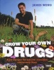 Grow Your Own Drugs - Easy Recipes for Natural Remedies and Beauty Fixes (Hardcover) - James Wong Photo