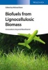 Biofuels from Lignocellulosic Biomass - Innovations Beyond Bioethanol (Hardcover) - Michael Boot Photo