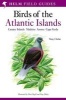 A Field Guide to the Birds of the Atlantic Islands - Canary Islands, Madeira, Azores, Cape Verde (Paperback) - Tony Clarke Photo