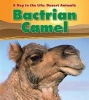 Bactrian Camel (Paperback) - Anita Ganeri Photo