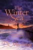 The Winter Sea (Paperback, Main Market Ed.) - Di Morrissey Photo