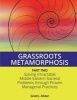 Grassroots Metamorphosis - Part 2 - Solving Intractable Middle Eastern Societal Problems Through Proven Managerial Practices (Paperback) - MR Sa Allawi Photo