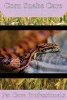 Corn Snake Care - The Complete Guide to Caring for and Keeping Corn Snakes as Pets (Paperback) - Pet Care Professionals Photo