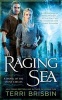 Raging Sea (Paperback) - Terri Brisbin Photo