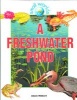 A Freshwater Pond (Hardcover, Library binding) - Adam Hibbert Photo