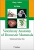 Veterinary Anatomy of Domestic Mammals - Textbook and Colour Atlas (Hardcover, 6th Revised edition) - Horst Erich Konig Photo