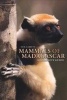 Guide to the Mammals of Madagascar (Paperback) - Nick Garbutt Photo