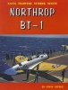 Northrop BT-1 (Paperback) - Steve Ginter Photo