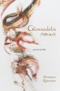 Glossodelia Attract (Preverbs) (Paperback) - George Quasha Photo